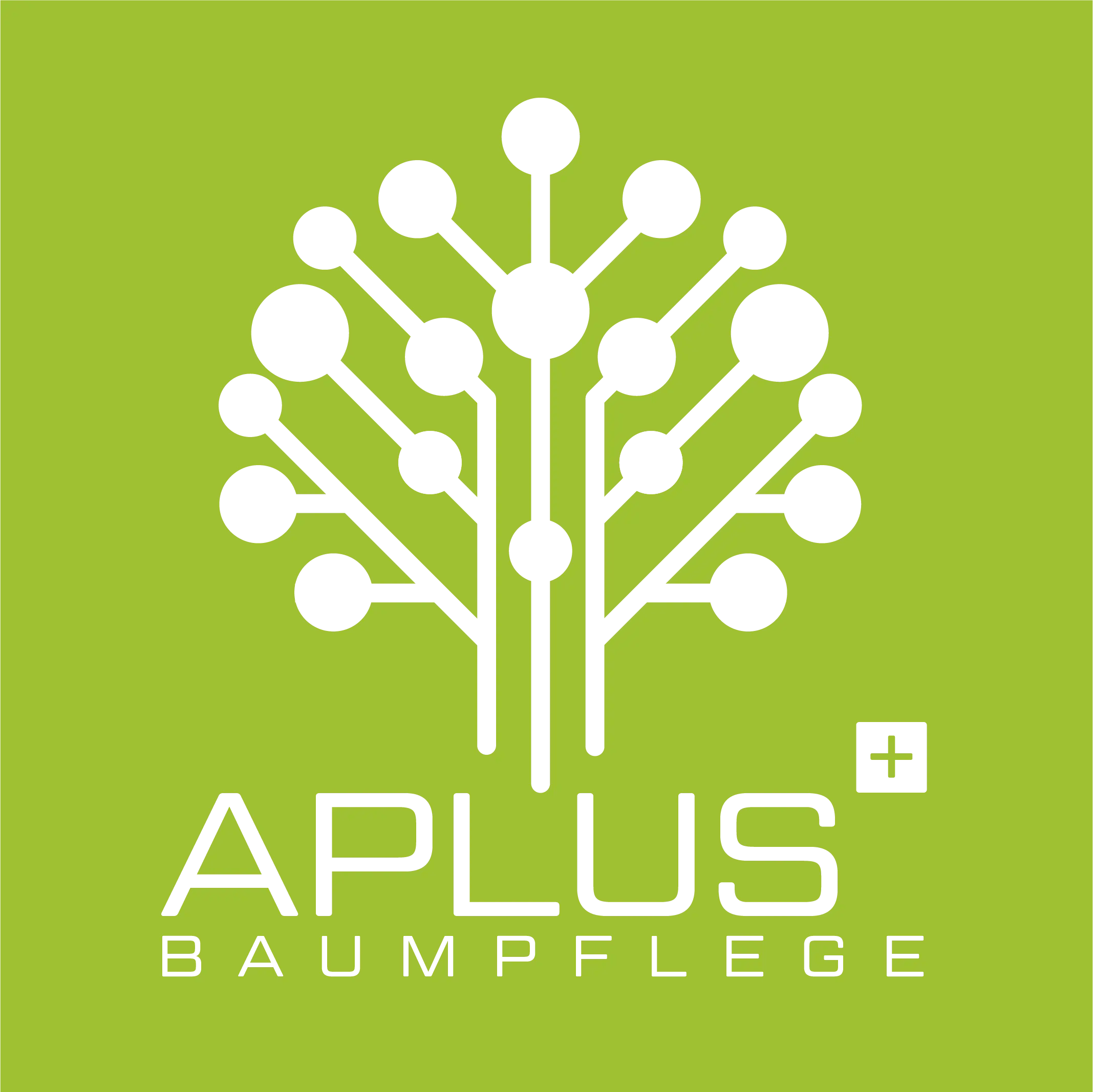Baufeldräumung Berlin und Brandenburg aplus